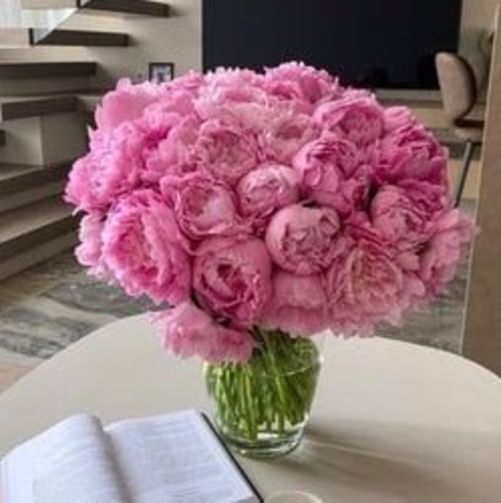 Meet your Posher, Windy